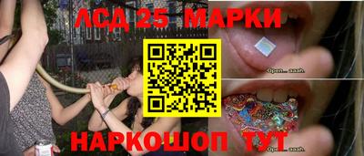 spice Тара