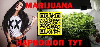 spice Тара