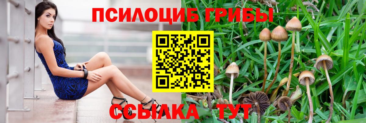 Оренбург  Галлюциногенные грибы MAGIC MUSHROOMS  Вход с VPN 