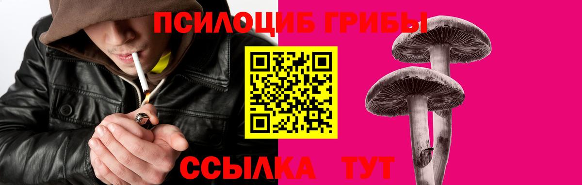 Псилоцибиновые грибы Cubensis Оренбург